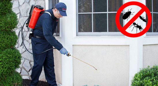 Pehlivanköy Kene İlaçlama böcek ilaçlama ve haşere kontrolü — ilaclama-tr.com